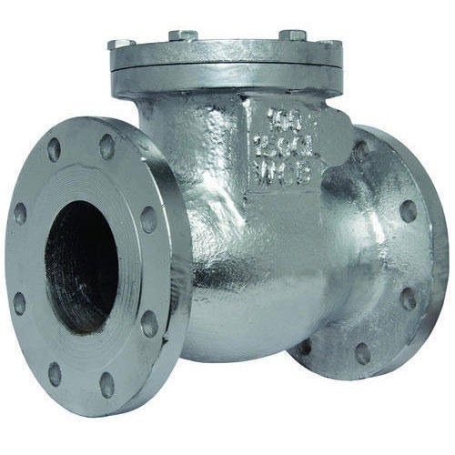 Stainless flanged check valve